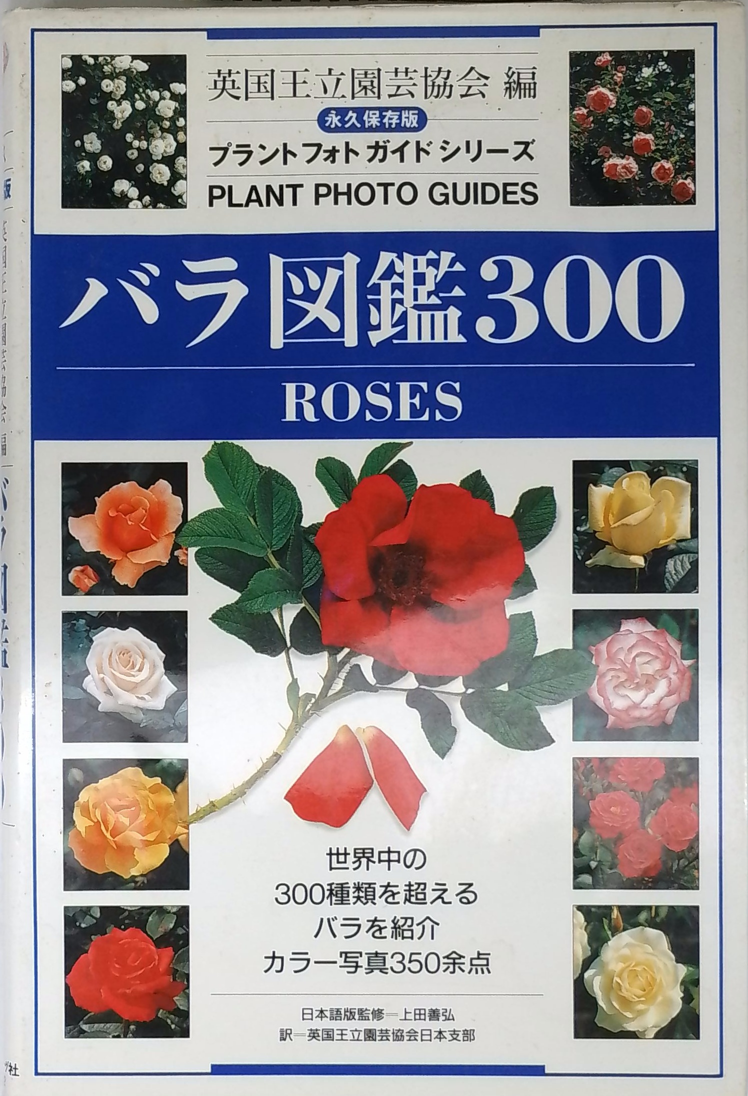 バラ図鑑300 永久保存版 (プラントフォトガイドシリーズ) | - | 日本